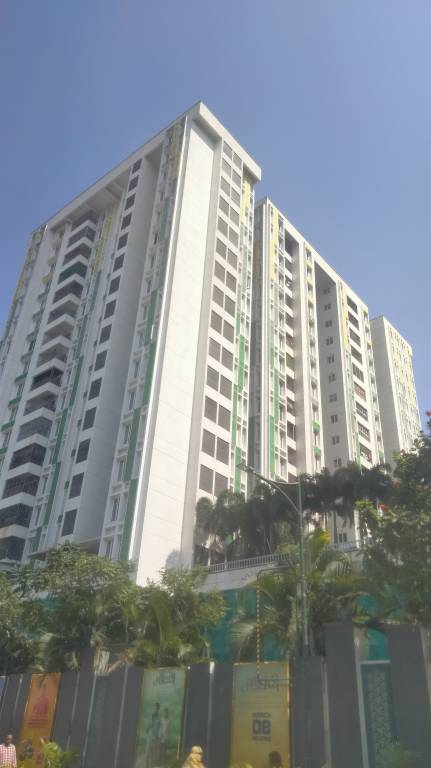  trellis north phase Elevation