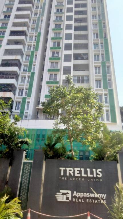  trellis north phase Elevation