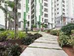 Jogging Track  trellis-north-phase Jogging Track