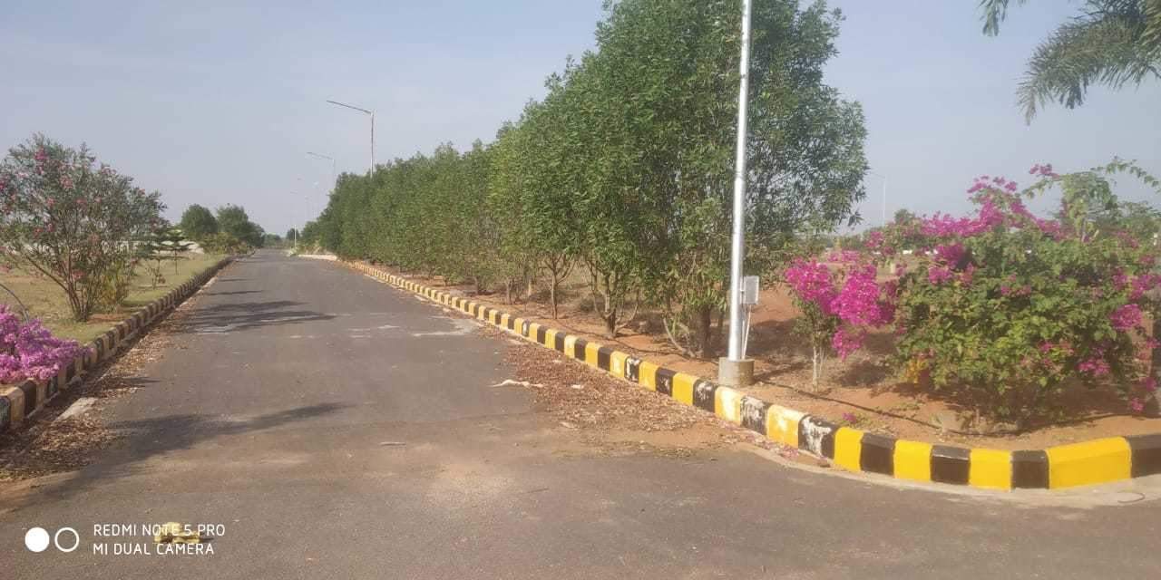  golden breeze Elevation