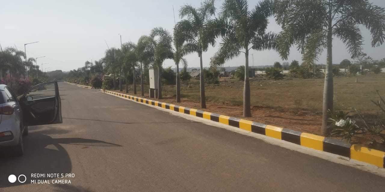  golden breeze Elevation