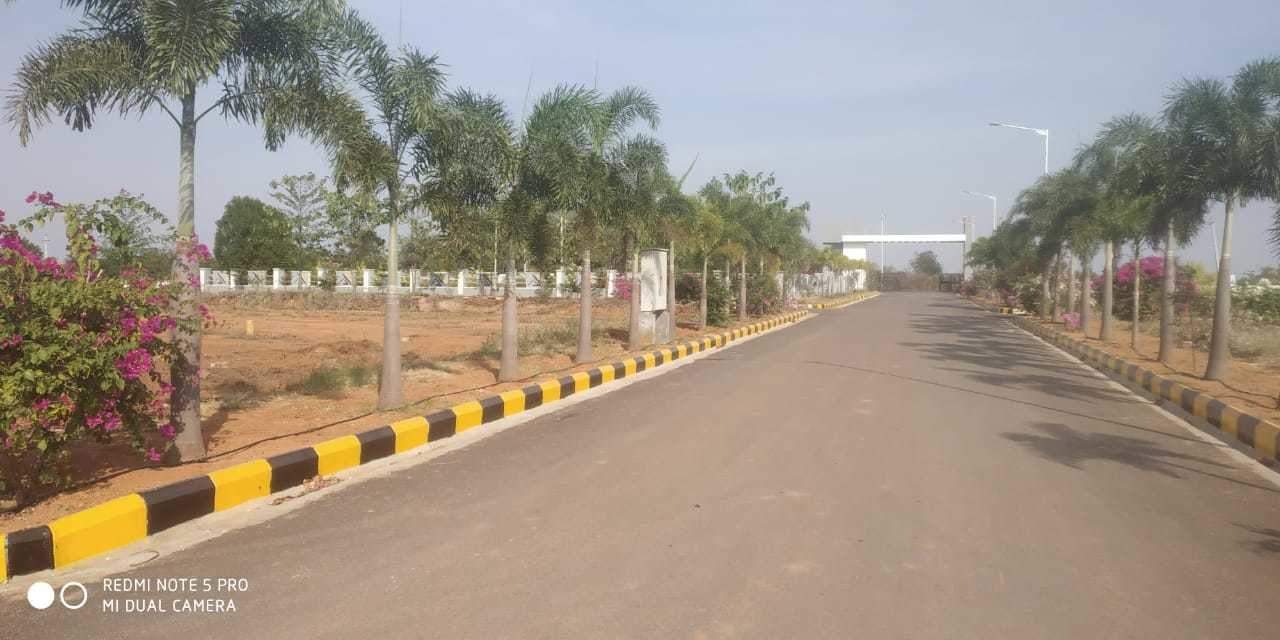  golden breeze Elevation