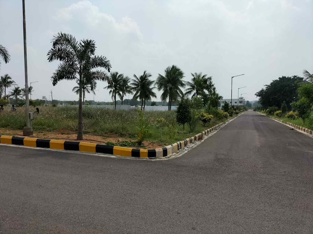  golden breeze Elevation