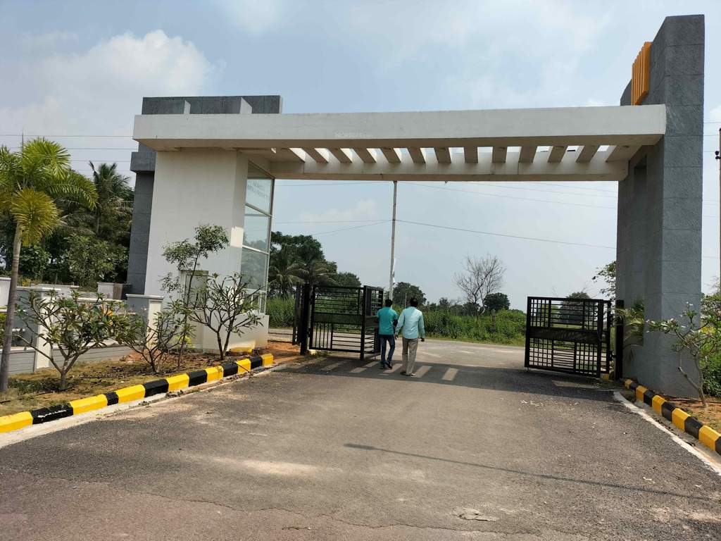  golden breeze Elevation