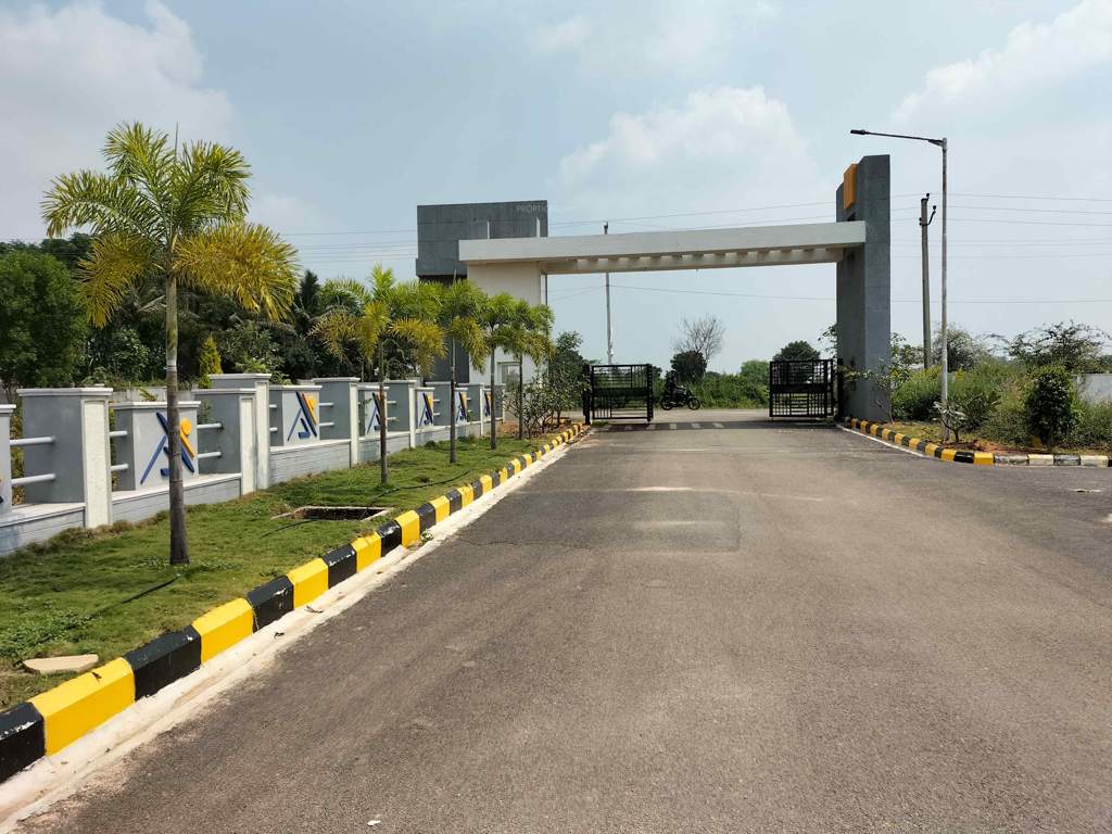  golden breeze Elevation