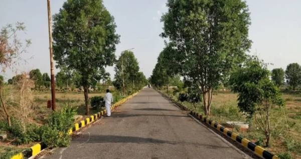  golden-breeze Elevation