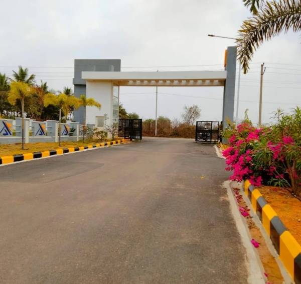  golden-breeze Elevation