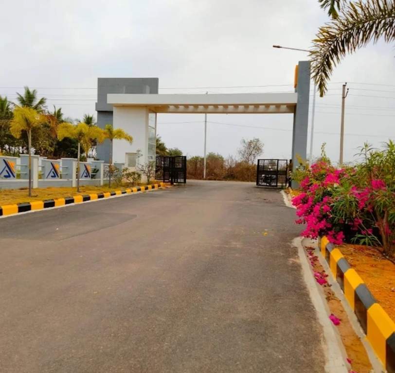  golden breeze Elevation