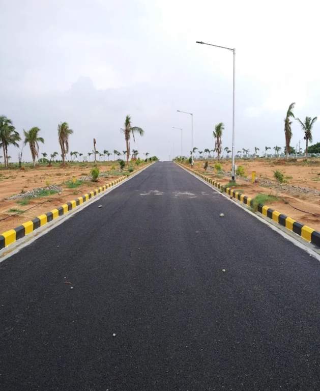  golden breeze Elevation