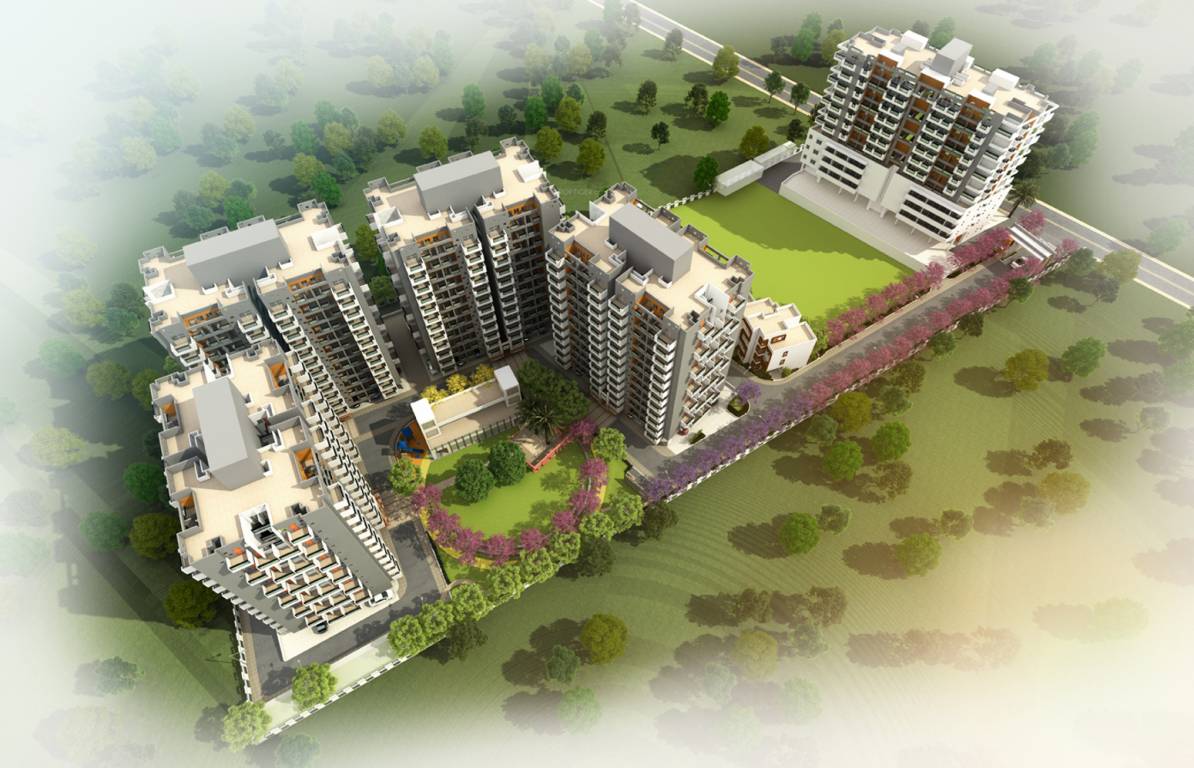 Images for Elevation of Fortune Perfect