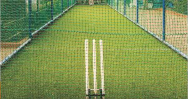  the-skylark-phase-1 Cricket Pitch