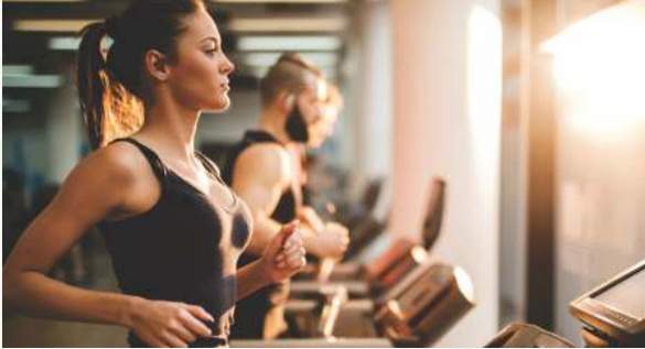  the skylark phase 1 Gymnasium