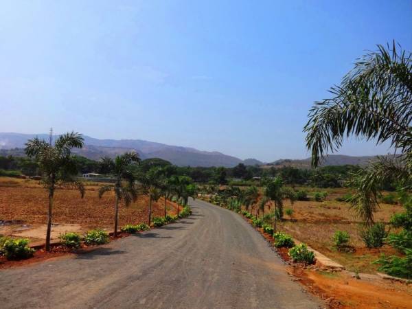 Elevation plantations-company Elevation