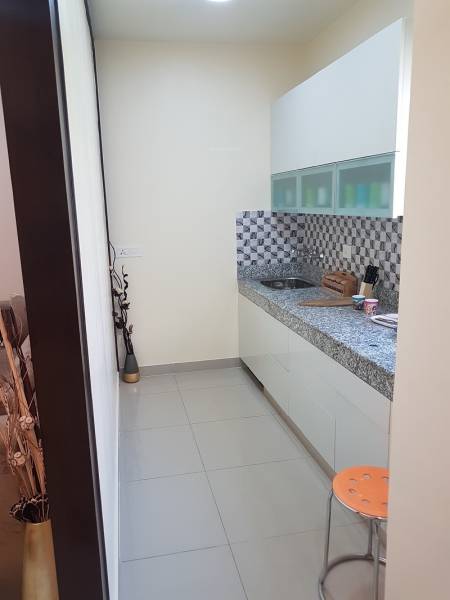 mainOther of SG Shikhar Height