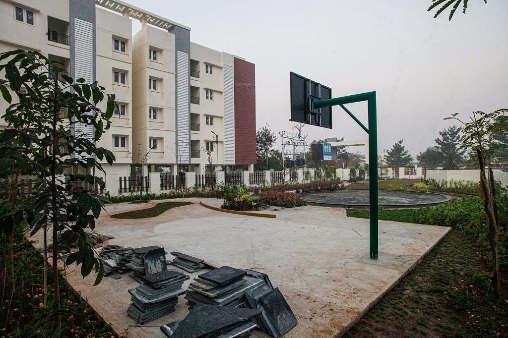  first nest Basketball Court