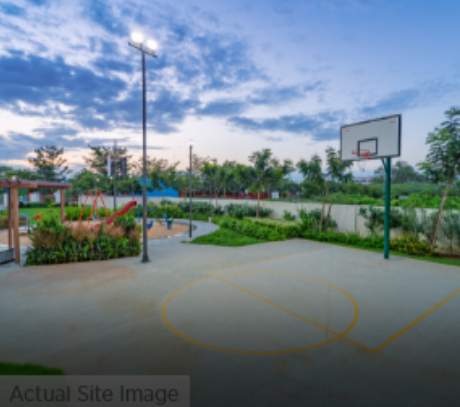  first nest Basketball Court