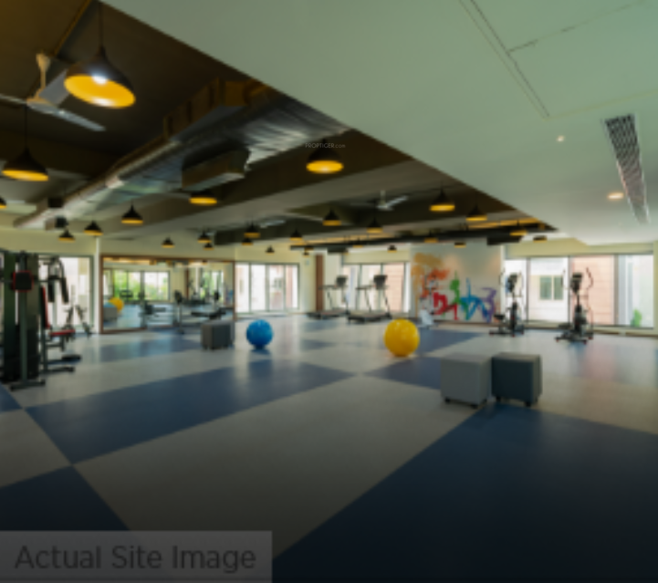  first nest Gymnasium