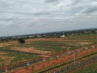  prime-fortune Images for Project