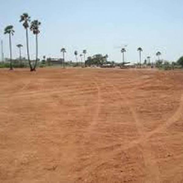  prime-fortune Images for Project