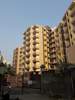 Golden City Complex