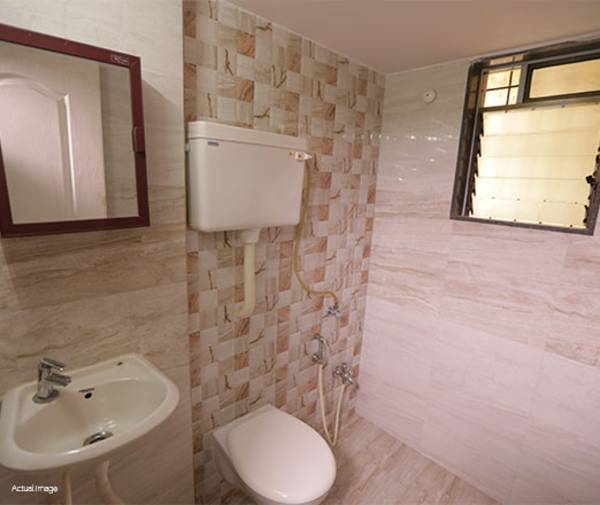 Images for mainOther