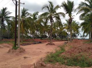 Project Image Project Image