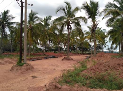 veda Elevation Elevation