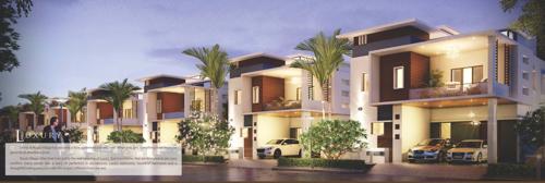  royal-village Images for Elevation of Rudra Royal Village