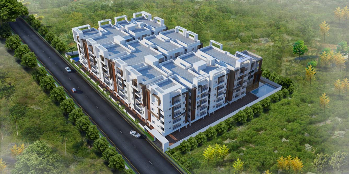 Images for Elevation of Fortune Green Falcon