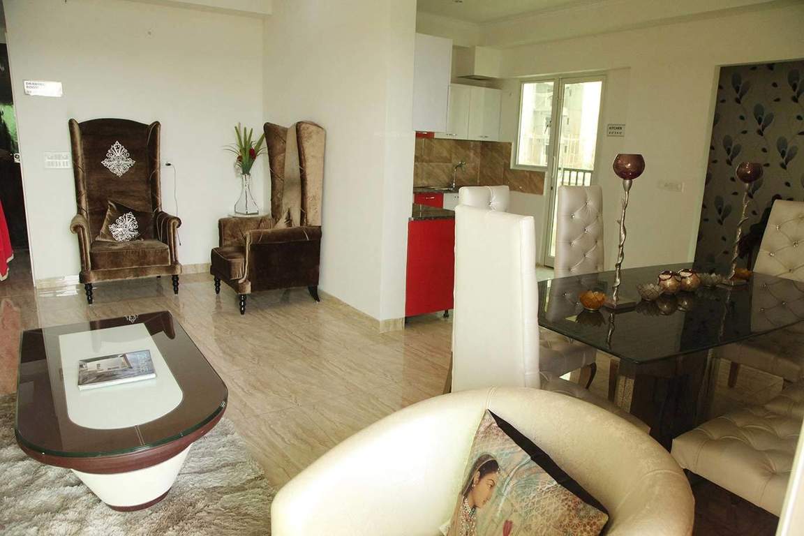  gaur yamuna city Living Area