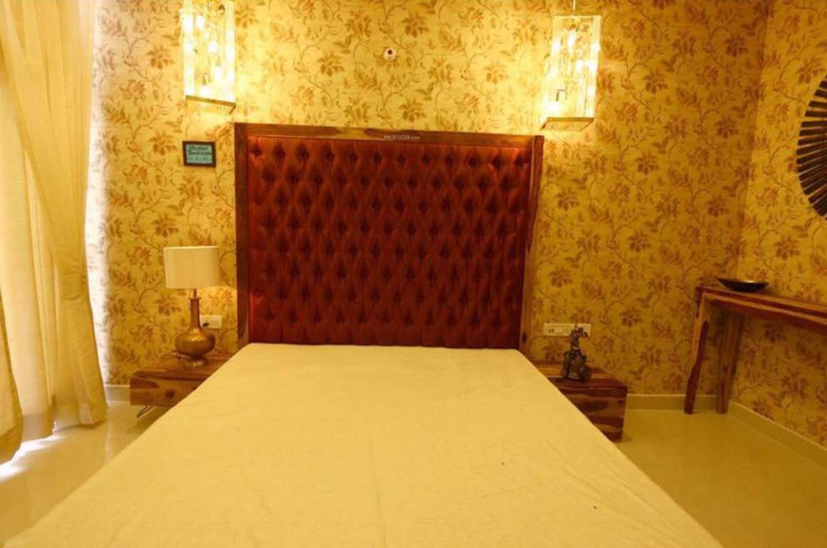 Images for Main Other of Chordias Atulya