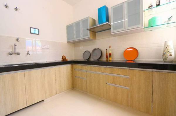 Images for Main Other of Chordias Atulya