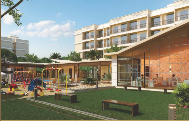  galaxy garden plot 1 Others