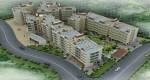 Elevation  exotica Elevation
