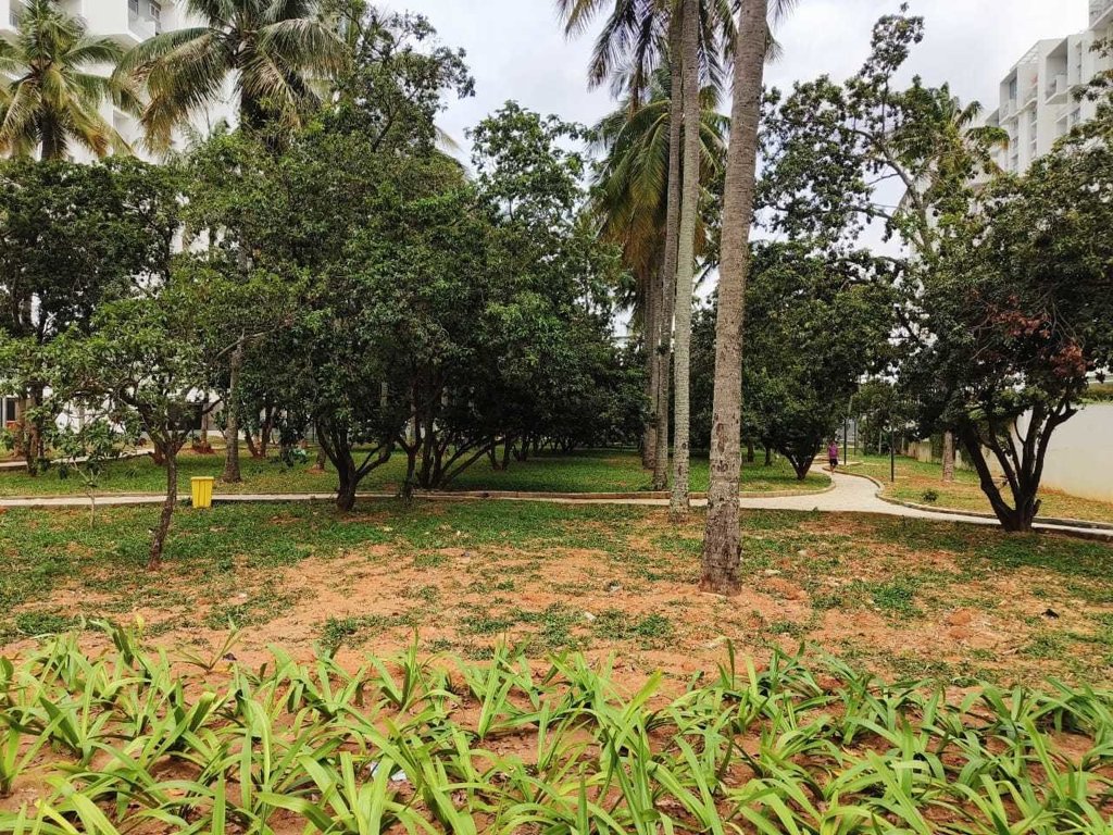 upavan phase 1 Others