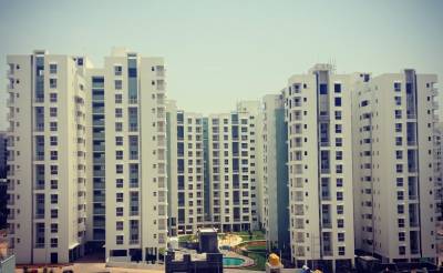  the-wisdom-tree-community Elevation