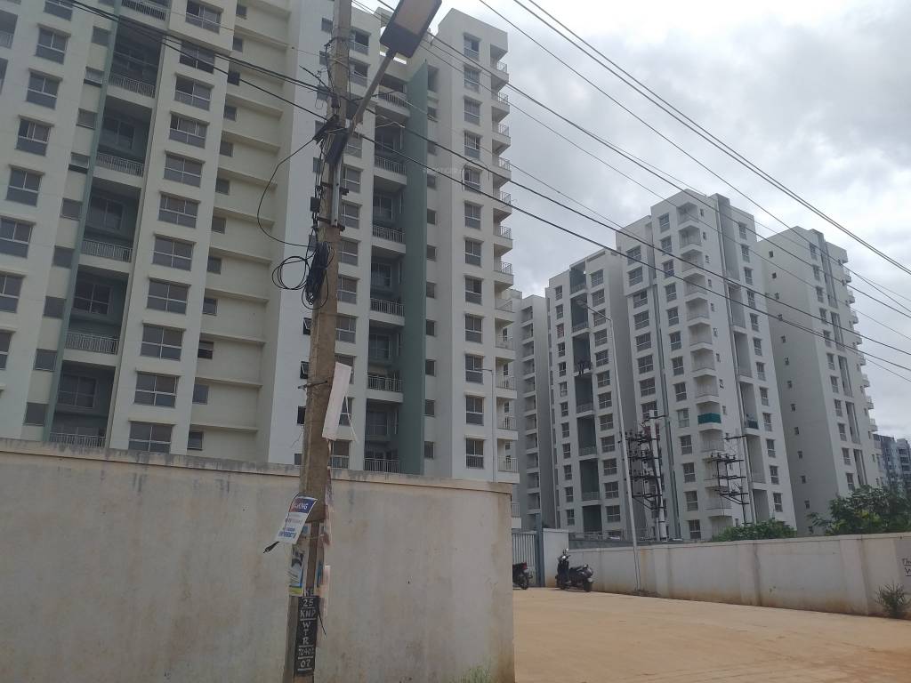  the wisdom tree community Elevation