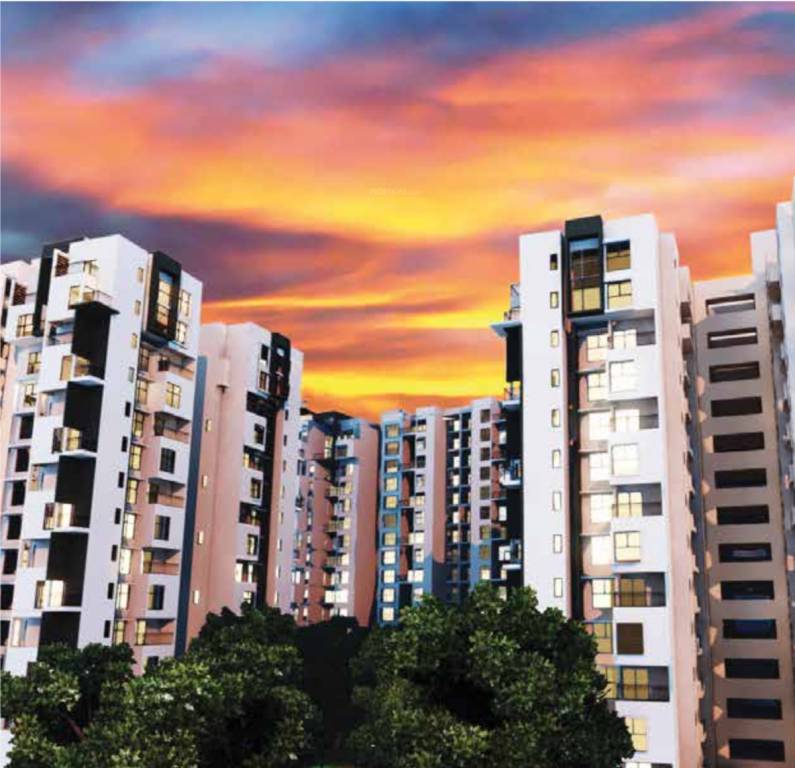 Images for Elevation of Expat The Wisdom Tree Community