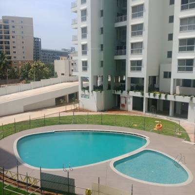  the-wisdom-tree-community 