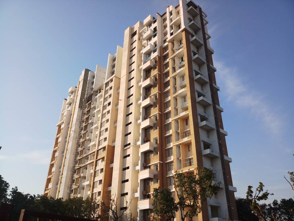 Calyx Artemis Phase II