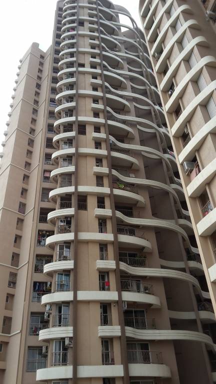  pelican Images for Project