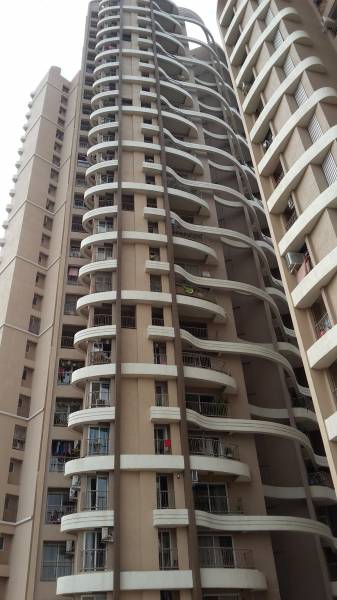  pelican Images for Project