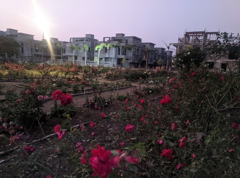 sunshine Construction Status June 20