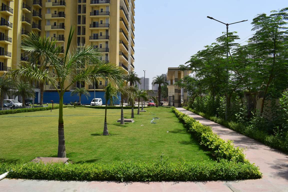 Images for Amenities of Maxblis White House III