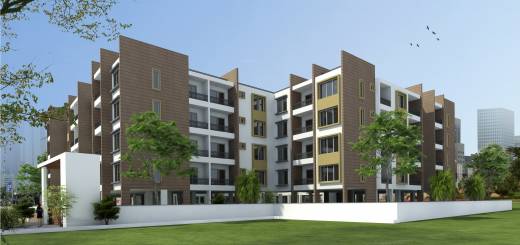 Images for Elevation of New India Tanzanite Images for Elevation of New India Tanzanite