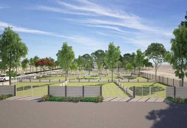 Images for Elevation of Terra Bloom Images for Elevation of Terra Bloom