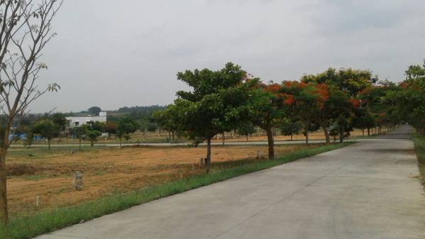 Images for Main Other of NBR NBR Green Valley