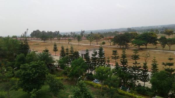 Images for Main Other of NBR NBR Green Valley