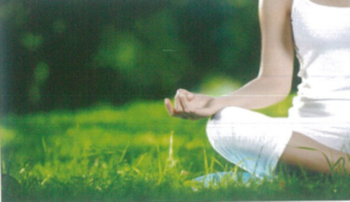  emerald tower a wing Images for amenities