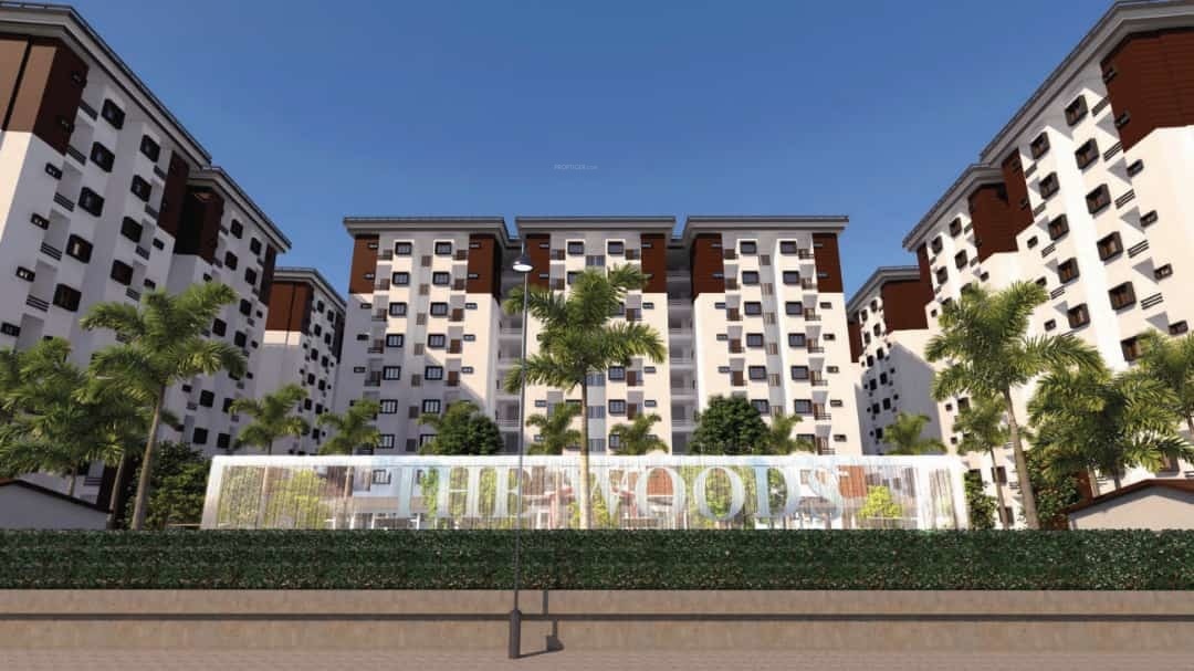  the woods naubasta Elevation